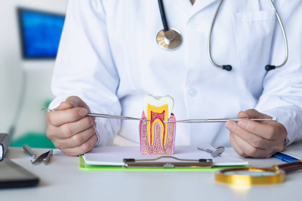 Best Emergency Root Canal Treatment in Melody Hill, IN